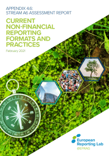 A6 Assessment Report Current non-financial reporting formats and practices